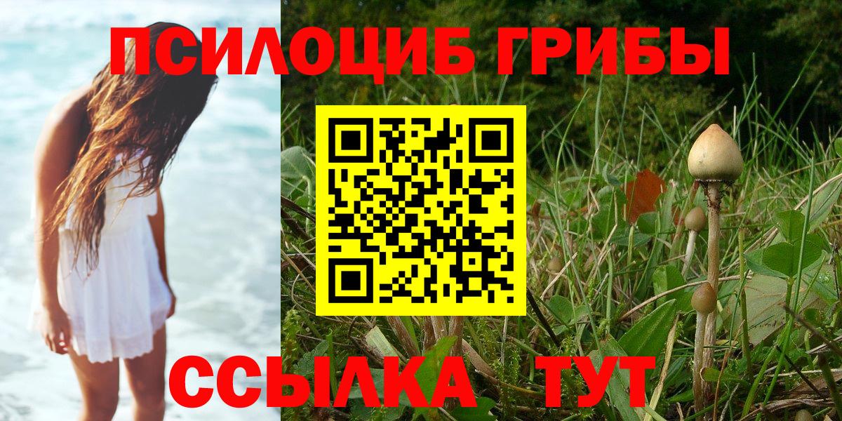 Галлюциногенные грибы Psilocybe  Вход с VPN  Махачкала 