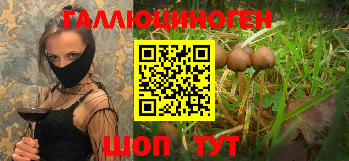 Галлюциногенные грибы Magic Shrooms Махачкала